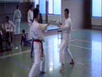 Karate_DM_89_Kumite_3.jpg (213304 Byte)